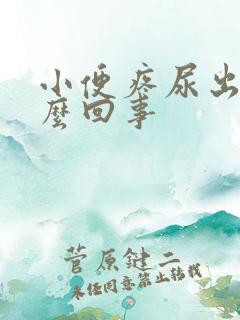 小便疼尿出血怎么回事