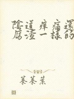 阴道痒痛还有豆腐渣一样的东西