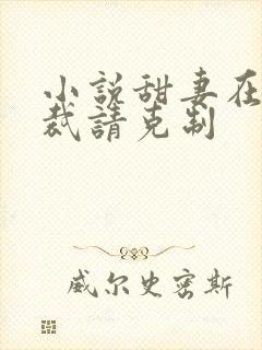 小说甜妻在上总裁请克制