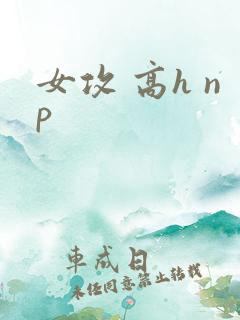 女攻 高h np