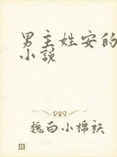 男主姓安的总裁小说