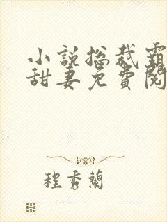 小说总裁霸宠小甜妻免费阅读