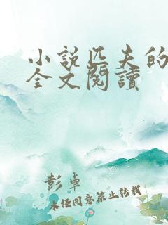 小说匹夫的逆袭全文阅读