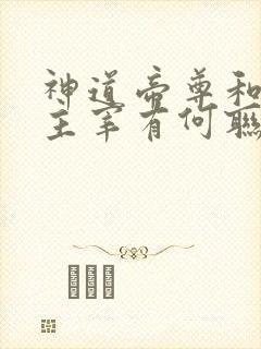 神道帝尊和武神主宰有何联系