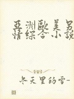 亚洲欧美另类激情综合小说