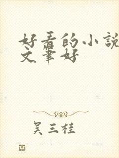 好看的小说言情文笔好