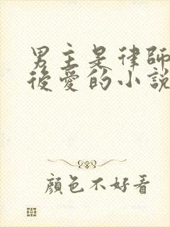 男主是律师先婚后爱的小说