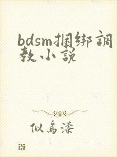 bdsm捆绑调教小说