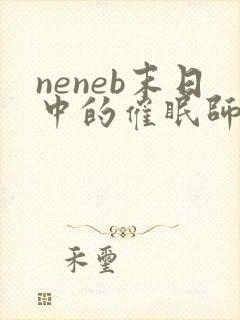 neneb末日中的催眠师小说全文免费阅读