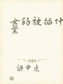 女的被插什么感觉