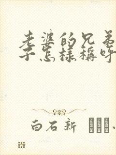 老婆的兄弟的儿子怎样称呼