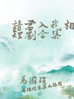 请君入我相思局短剧合集