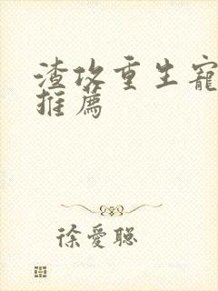 渣攻重生宠受文推荐