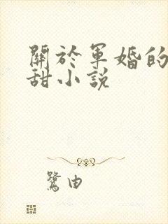 关于军婚的言情甜小说