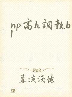 np高h调教bl