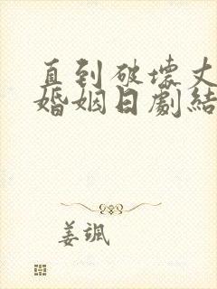 直到破坏丈夫的婚姻日剧结局