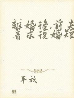 离婚后,前夫哭着求复婚短剧