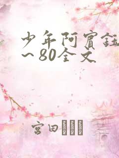 少年阿宾钰慧1～80全文
