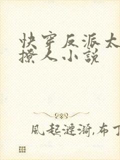 快穿反派太宠太撩人小说