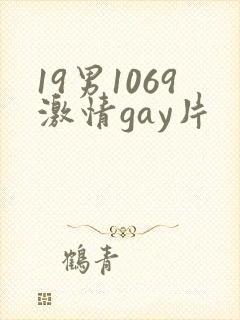 19男1069激情gay片