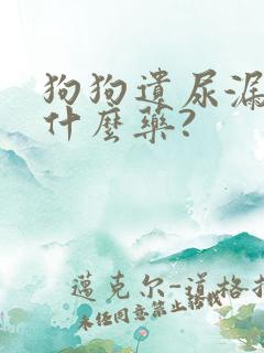 狗狗遗尿漏尿吃什么药?