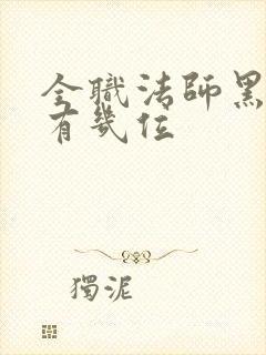 全职法师黑暗王有几位