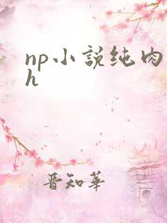 np小说纯肉高h