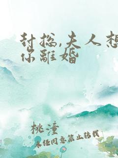 封总,夫人想跟你离婚