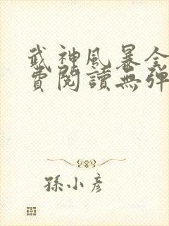武神风暴全文免费阅读无弹窗笔趣阁