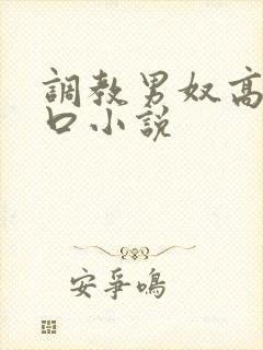 调教男奴高h重口小说