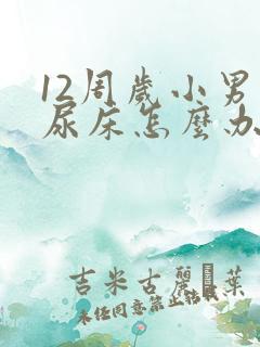 12周岁小男孩尿床怎么办