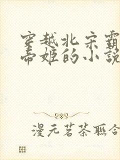 穿越北宋霸占了帝姬的小说