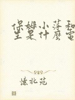 保姆小萍和吴先生是什么电视剧?