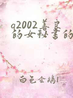 q2002善良的女秘书的目的