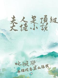 夫人是顶级马甲大佬小说