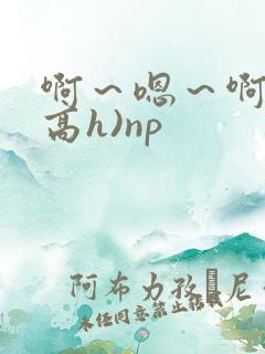 啊～嗯～啊～(高h)np