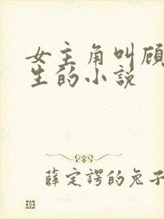 女主角叫顾晚重生的小说