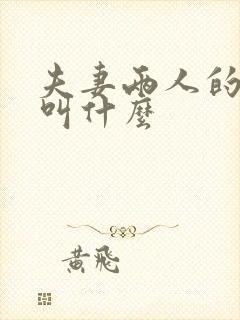 夫妻两人的关系叫什么