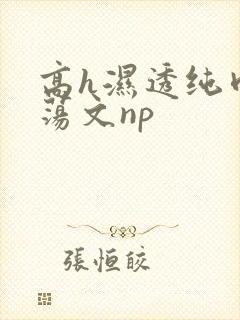 高h湿透纯肉放荡文np