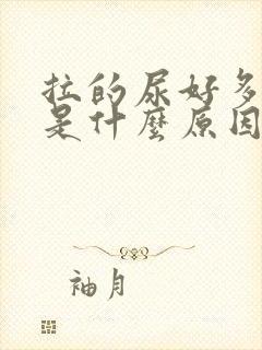 拉的尿好多泡泡是什么原因