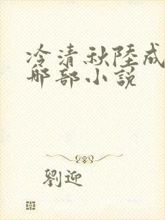 冷清秋陆成文是哪部小说