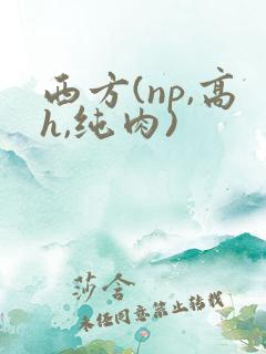 西方(np,高h,纯肉)