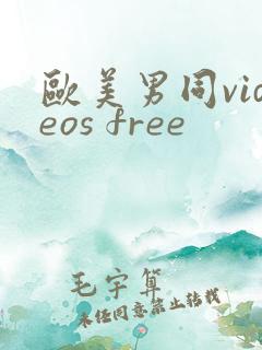 欧美男同videos free