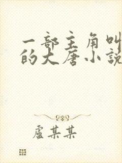 一部主角叫林凡的大唐小说