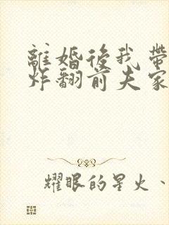 离婚后我带四崽炸翻前夫家短剧免费