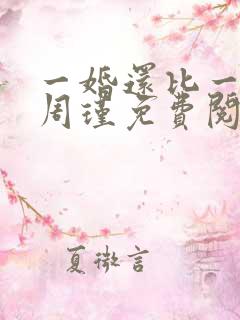 一婚还比一婚高周瑾免费阅读