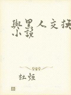与黑人交换女友小说