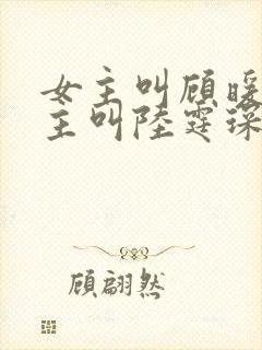 女主叫顾暖,男主叫陆霆琛的小说