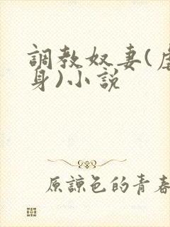 调教奴妻(虐女身)小说