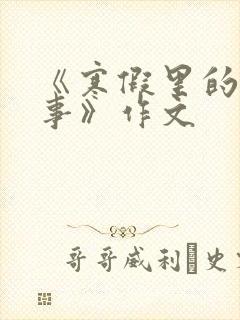 《寒假里的一件事》作文